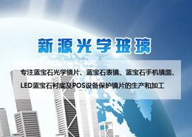 新源光学有限公司
