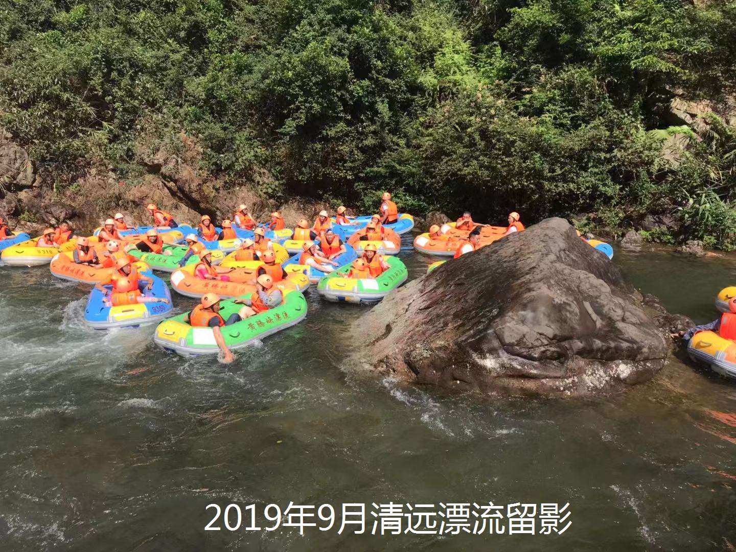 1569489045669462.jpg 2(1).jpg